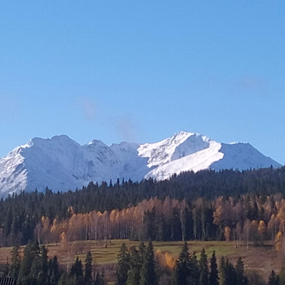Mountain view