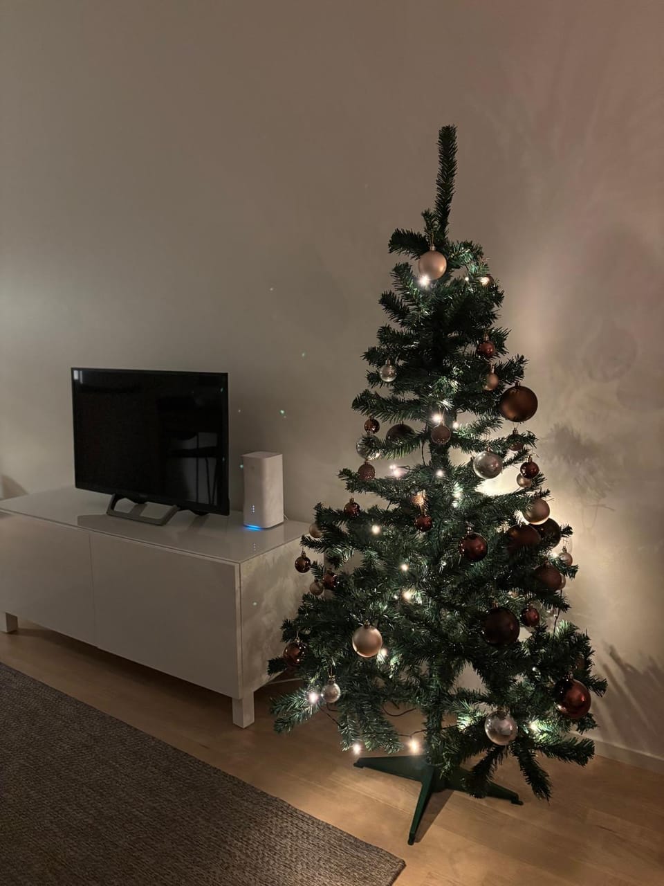 TV and multimedia