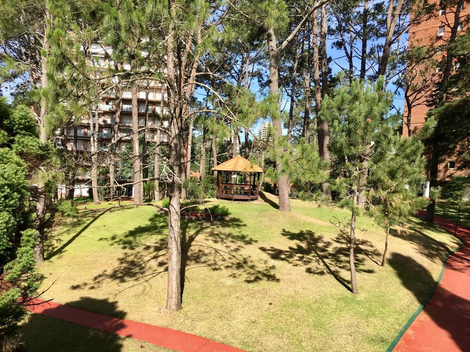 Natural landscape, Area and facilities