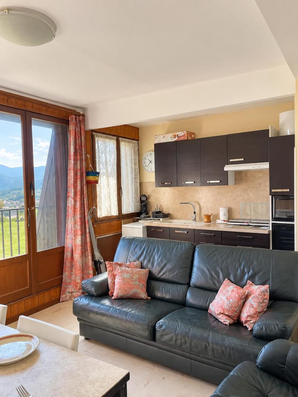 Living room, kitchen