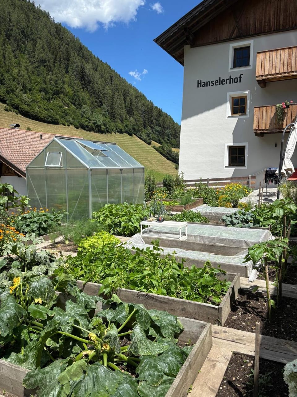Day, Garden, Garden view