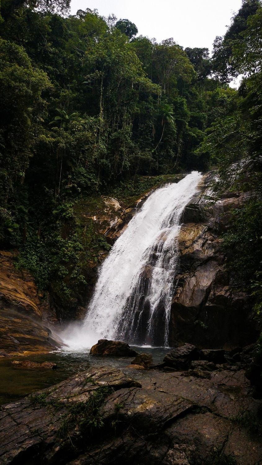 Natural landscape
