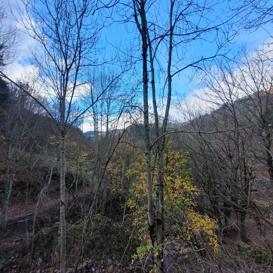 Spring, Day, Natural landscape, Mountain view