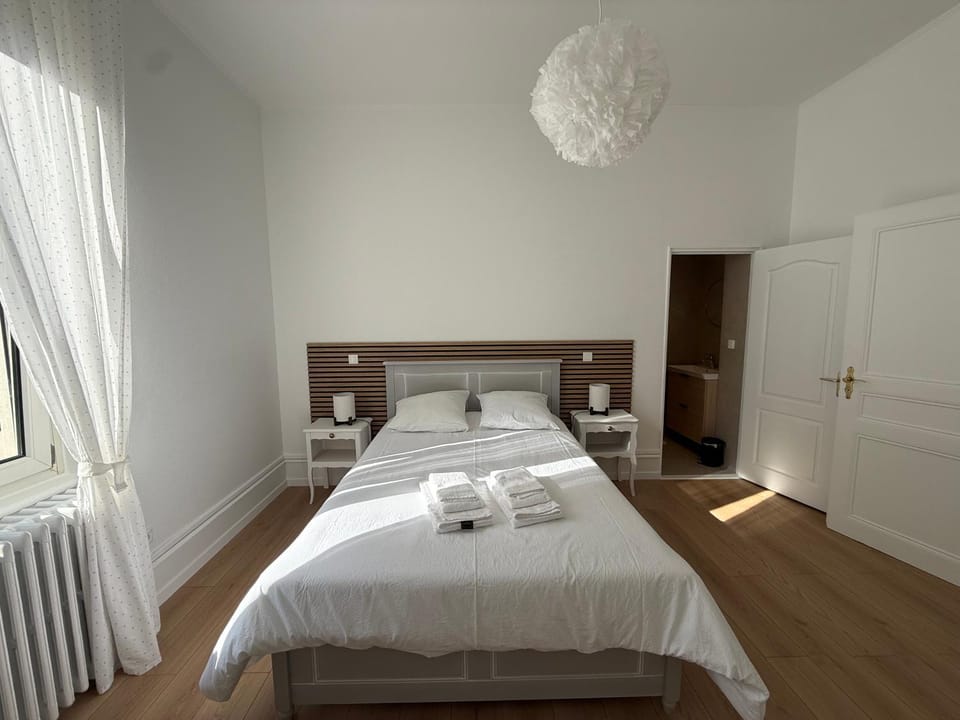 Le charme d'Alsace Apartment in Colmar