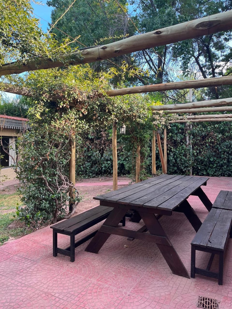 Patio, Garden, Garden view