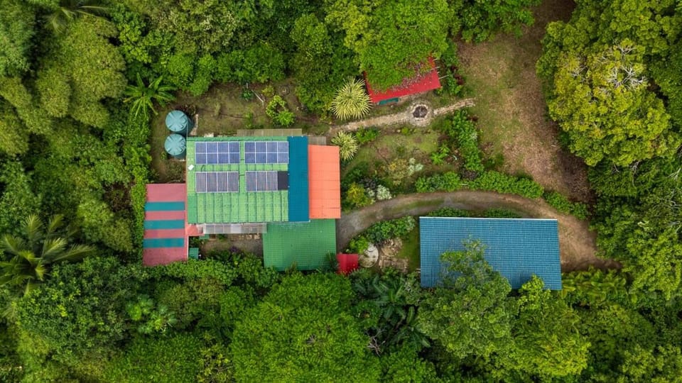 Spring, Natural landscape, Bird's eye view