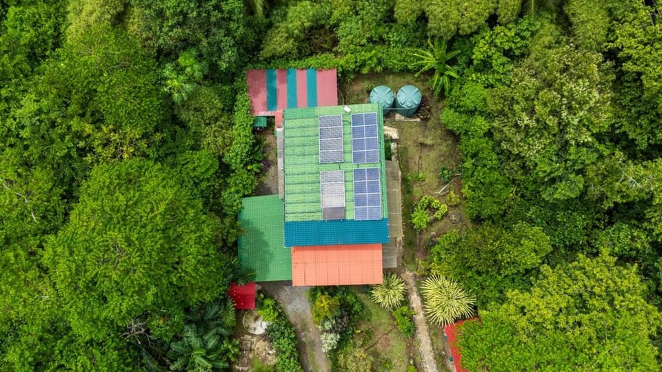 Day, Bird's eye view, Garden
