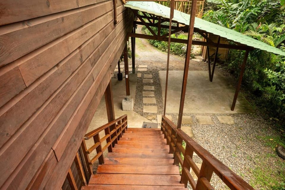 Facade/entrance, Garden, Garden view