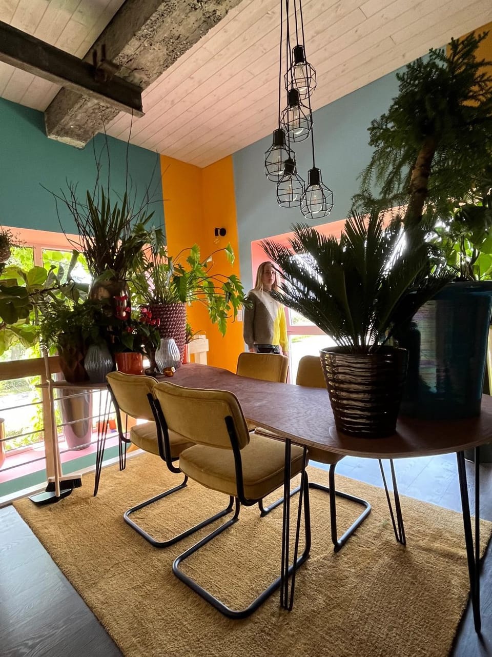 Plantkot, a cozy apartment full of plants of tinykot Apartment in Ypres