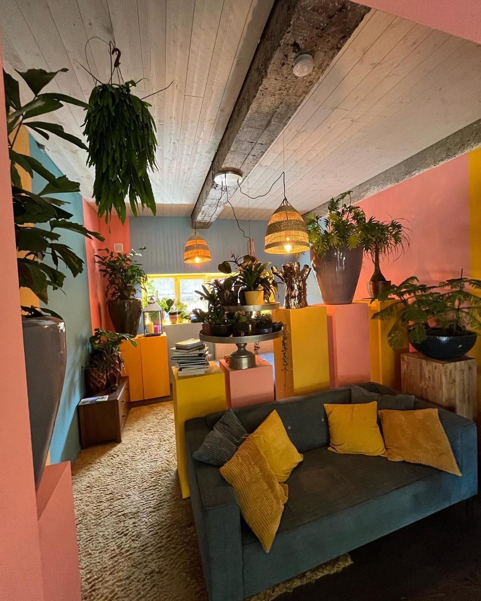 Plantkot, a cozy apartment full of plants of tinykot Apartment in Ypres