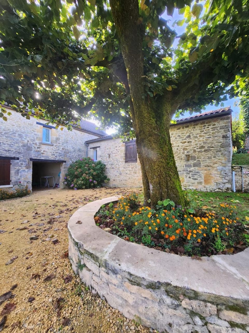 Garden view