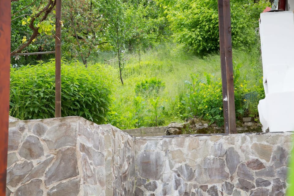 Natural landscape, Activities, Garden