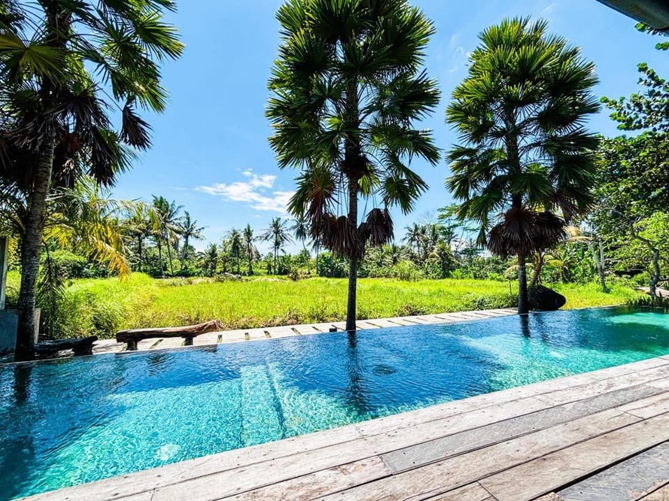 Spring, Day, Natural landscape, Garden, Garden view, Pool view, Swimming pool, Swimming pool
