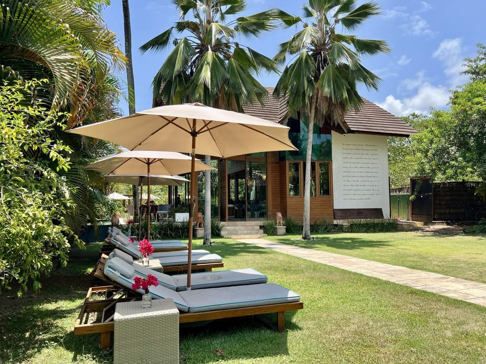 Garden, sunbed