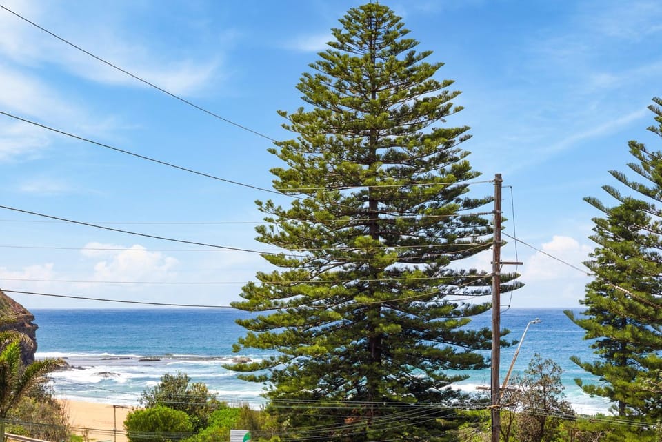 Sunrise Cove 2-Bed Apartment at Newport Beach Apartment in Pittwater Council