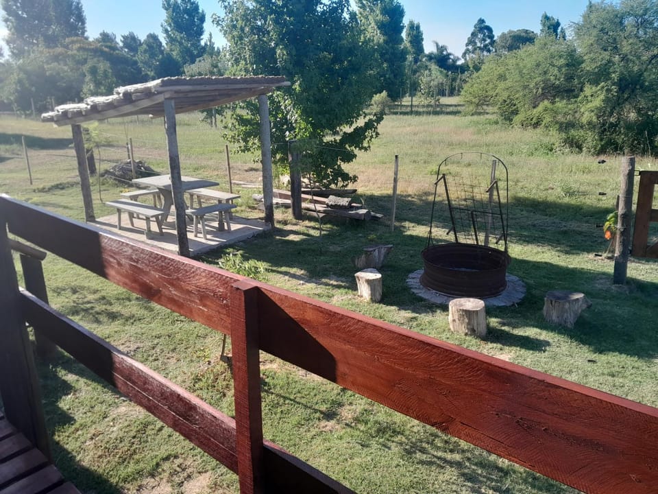 Natural landscape, Garden, Garden