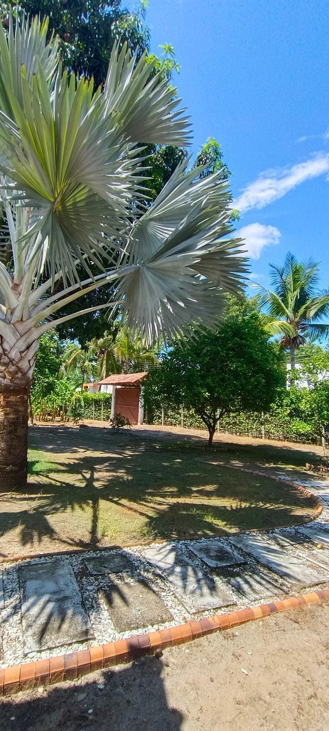 Villa Campestre Eagle Villa in Tolima