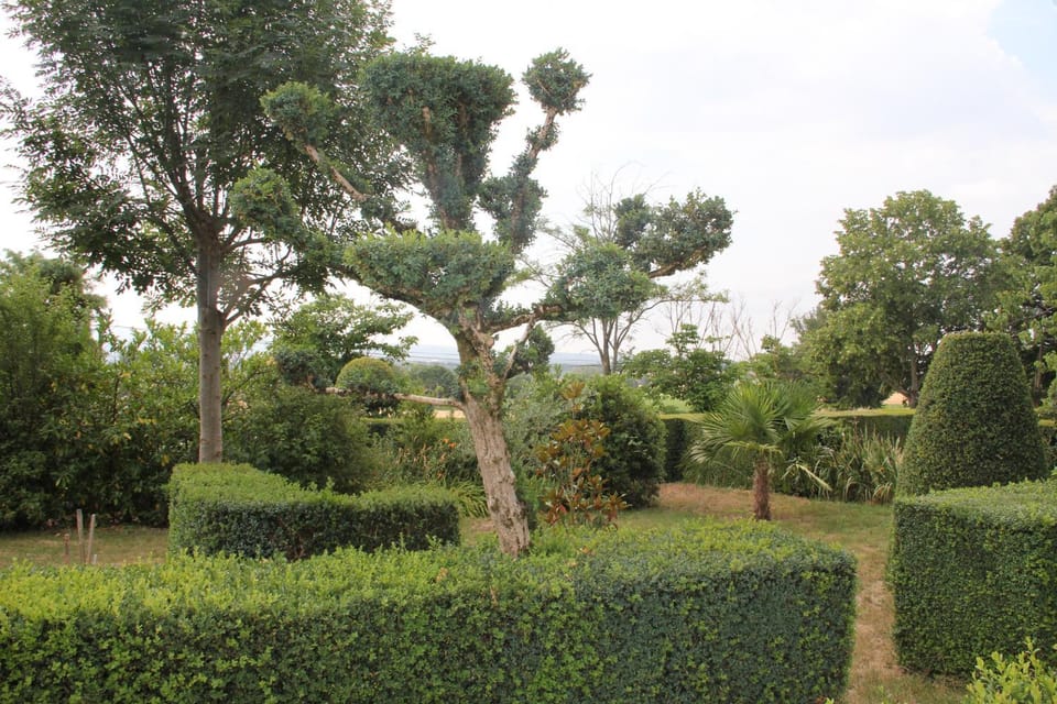 Day, Garden, Garden view
