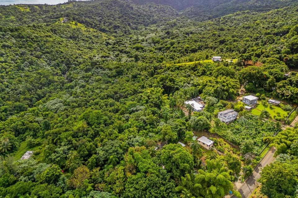 Tropical Paradise with Private Pool & Forest Views Chalet in Rio Grande