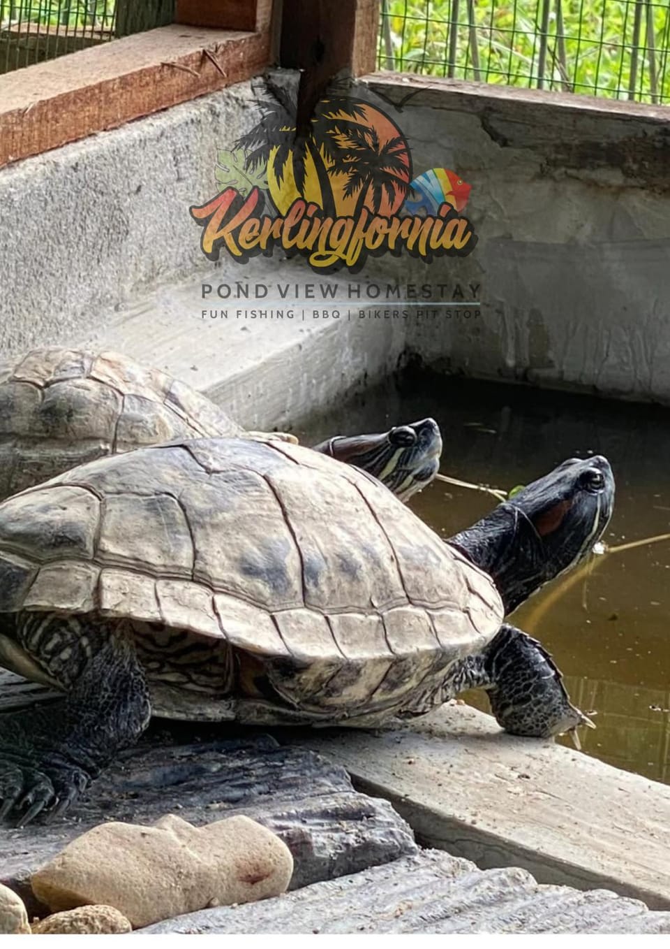 Kerlingfornia Kiddo Kingdom Villa in Selangor, Malaysia