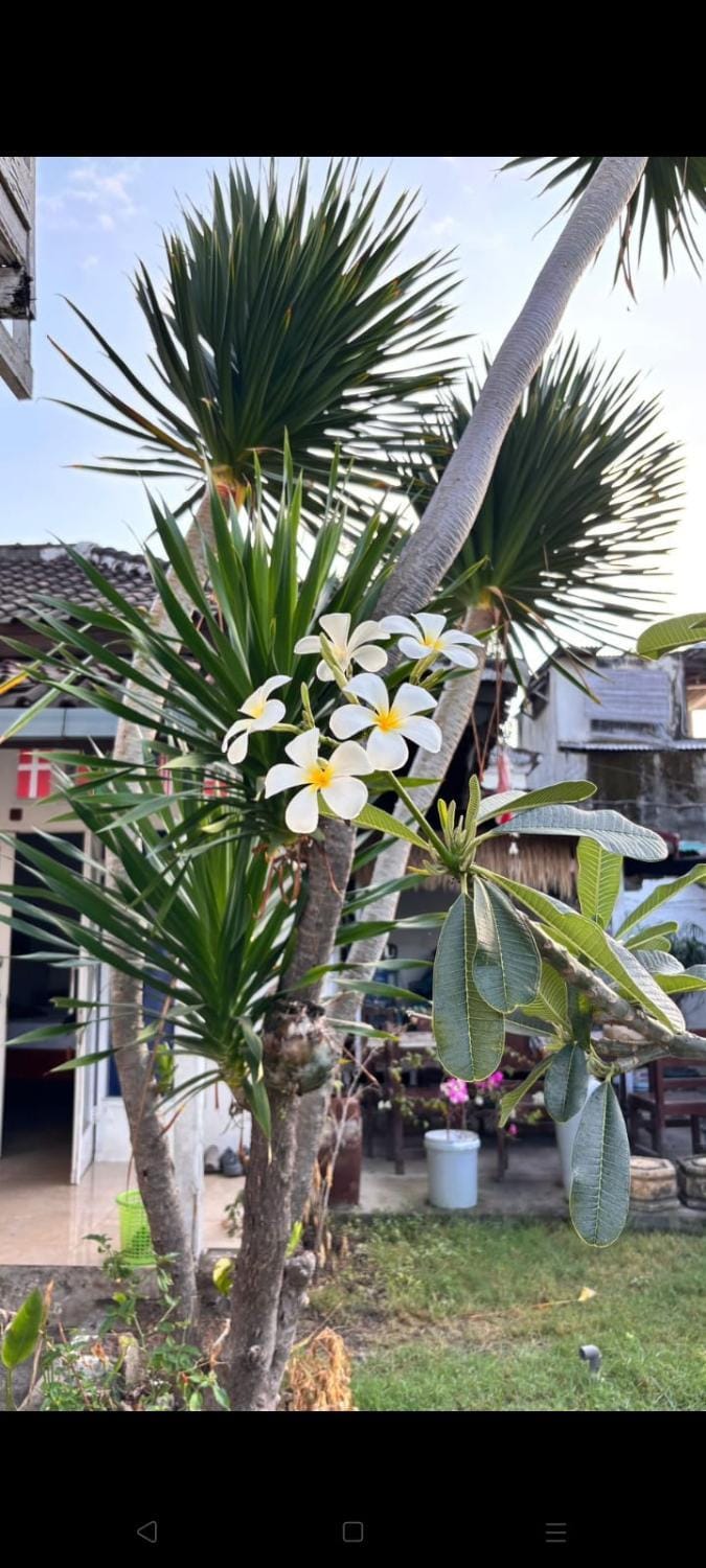 Hoku Nalu Vacation rental in Pemenang