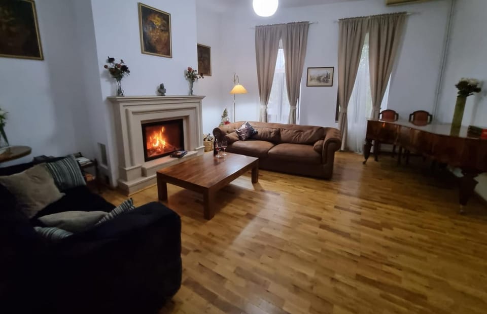 Central House Craiova Villa in Craiova