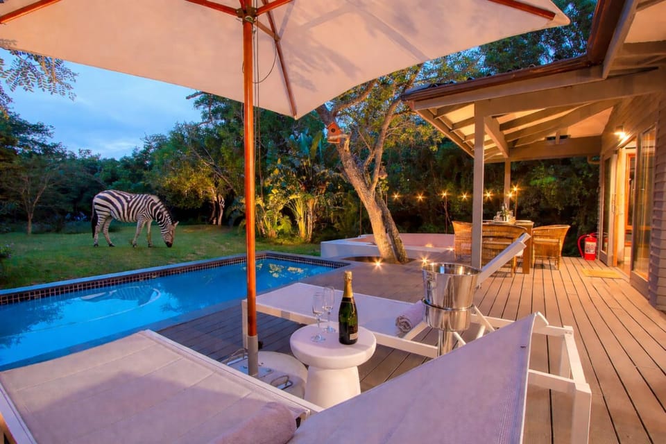 Property building, Animals, Swimming pool