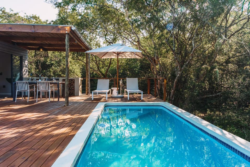 Patio, Spring, Day, Natural landscape, Garden, Garden view, Pool view, Swimming pool, sunbed