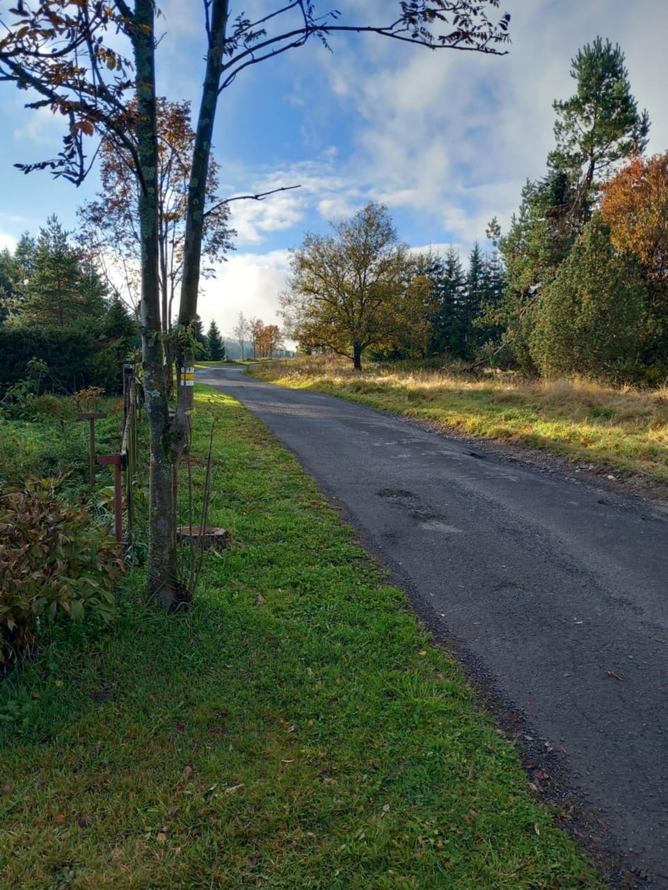 Cycling