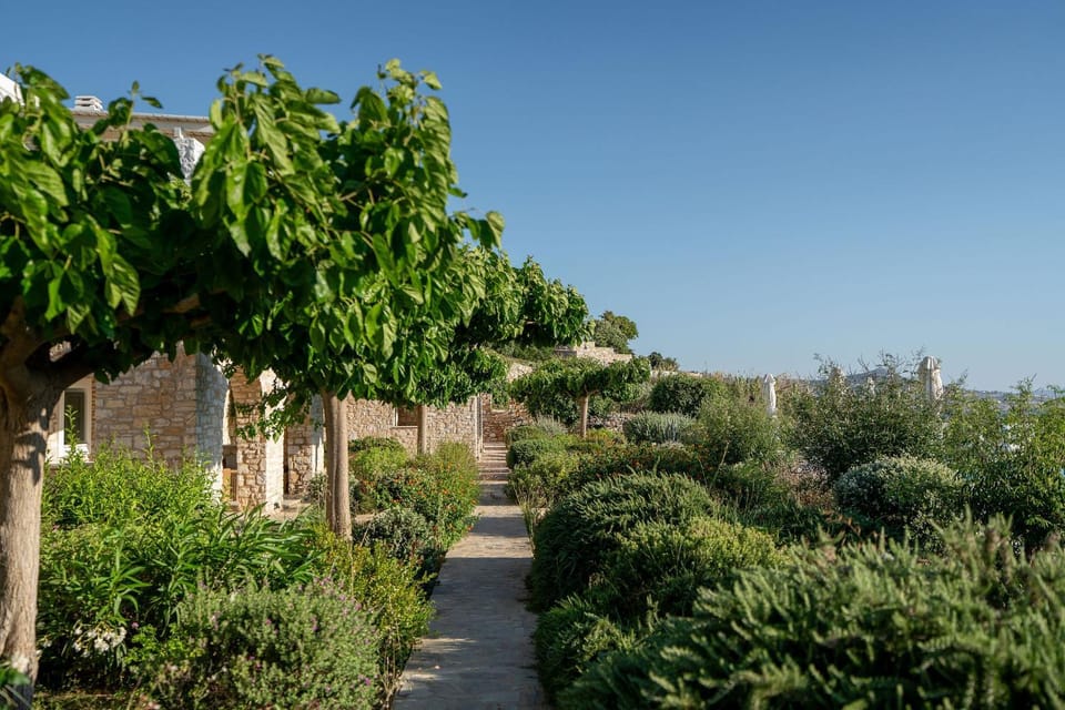Natural landscape, Garden