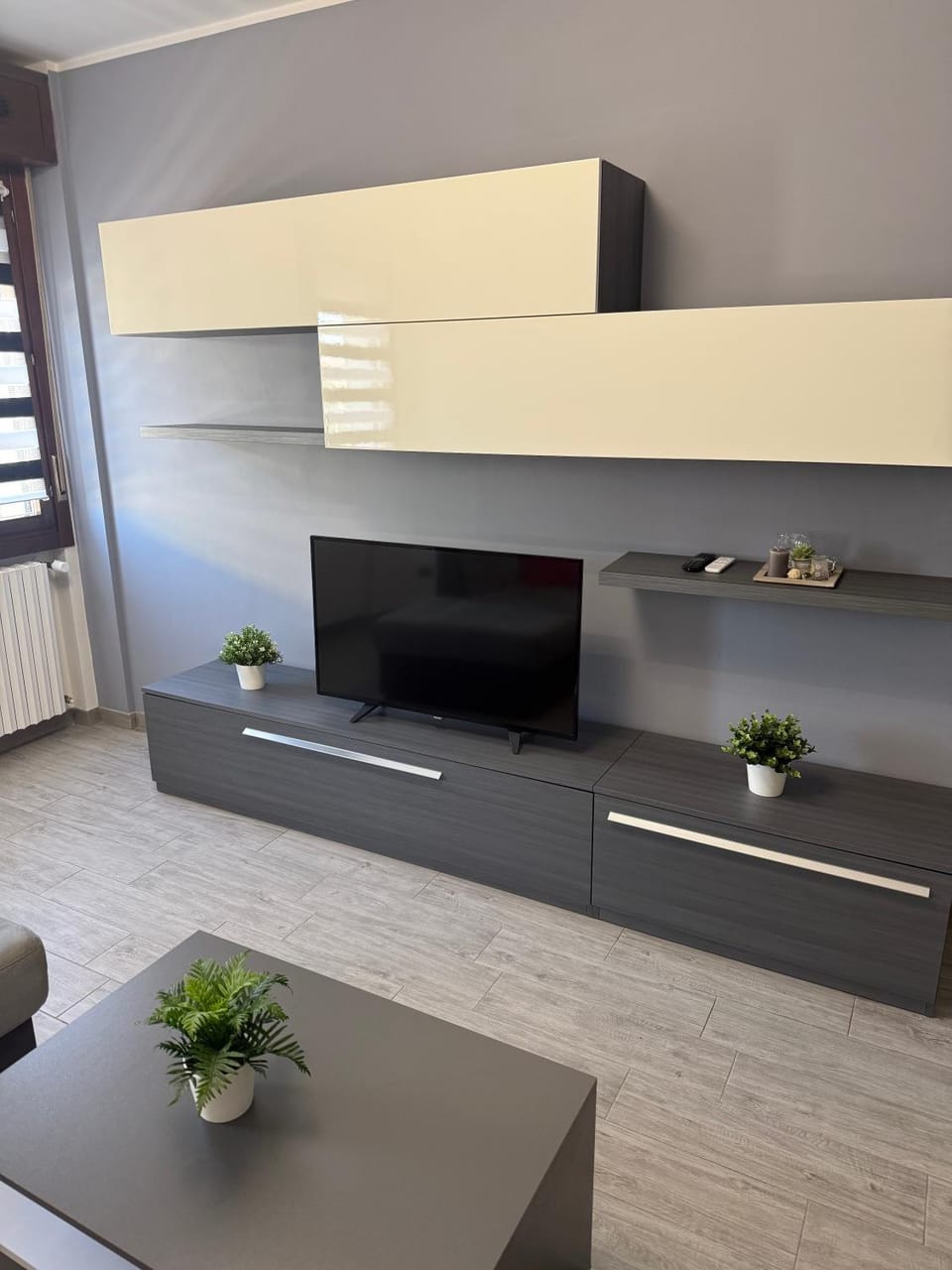 TV and multimedia