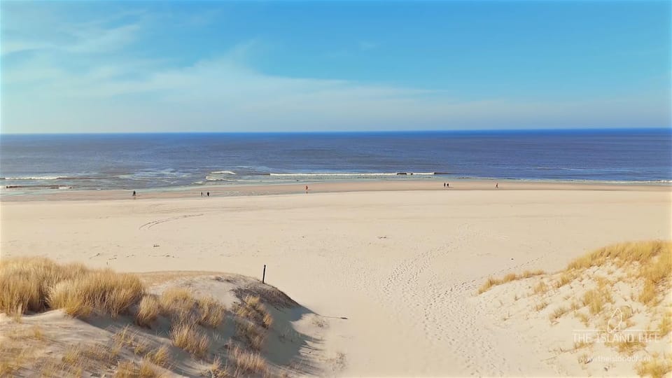 Natural landscape, Beach, Sea view