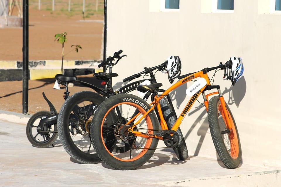 Day, Cycling