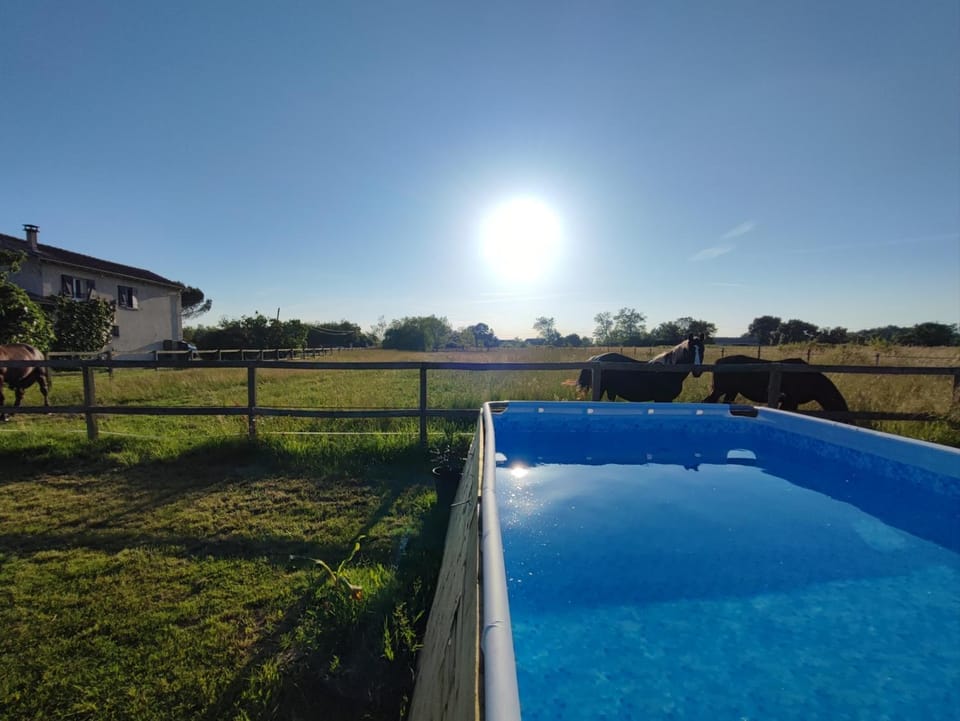 La Bastide Girondine Apartment in Nouvelle-Aquitaine