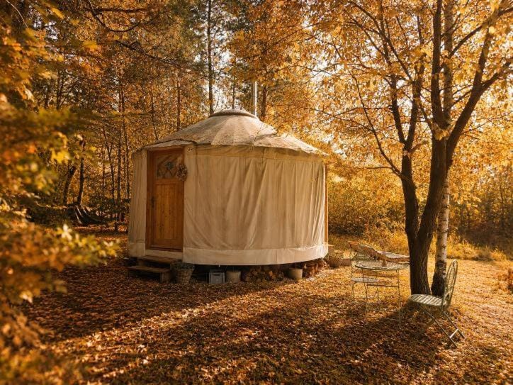 Jurty u jezírka Luxury tent in Czechia