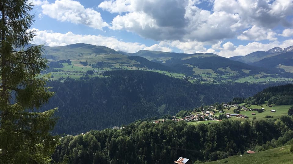 Mountain view