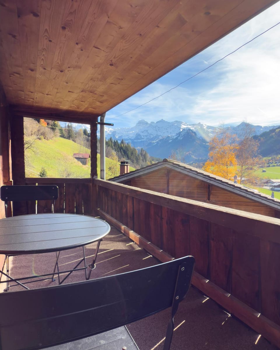 Ferienwohnung Metsch Apartment in Canton of Valais