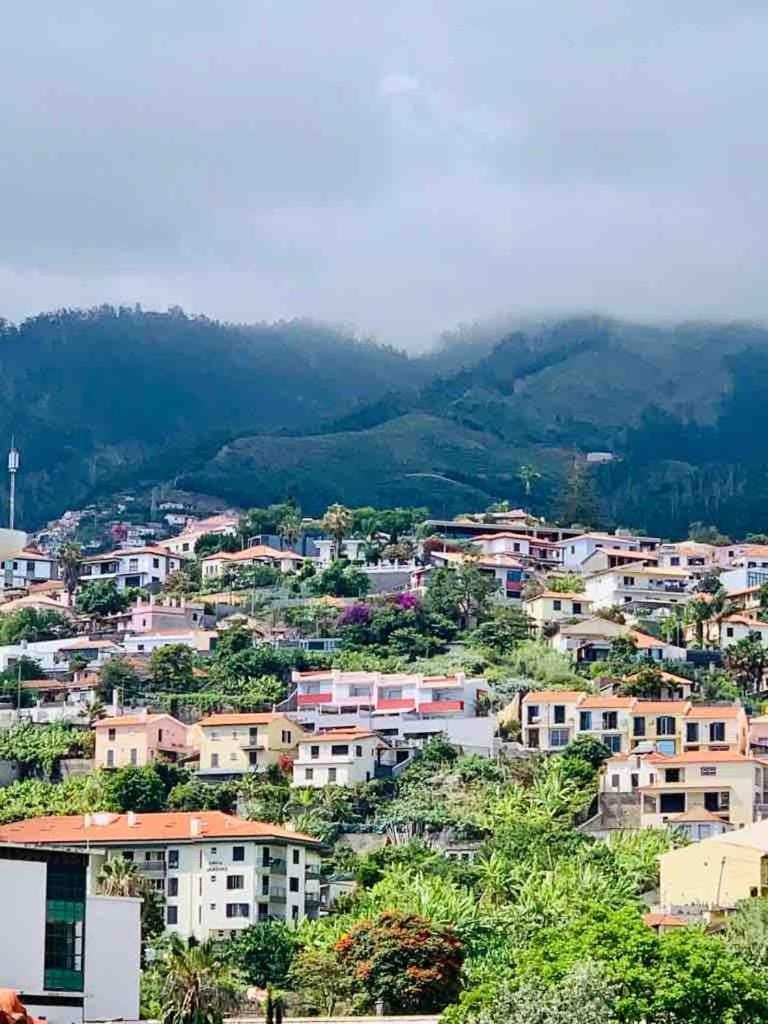 Apartment with Mountain View Apartment in Funchal