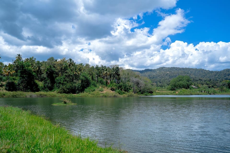 Lake view