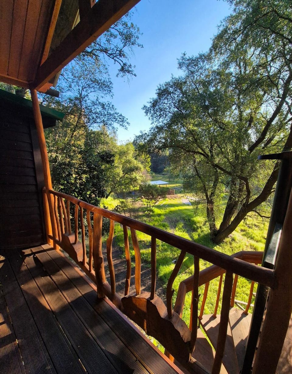 Casa de árbol Quillón Chalet in Bio Bio, Chile