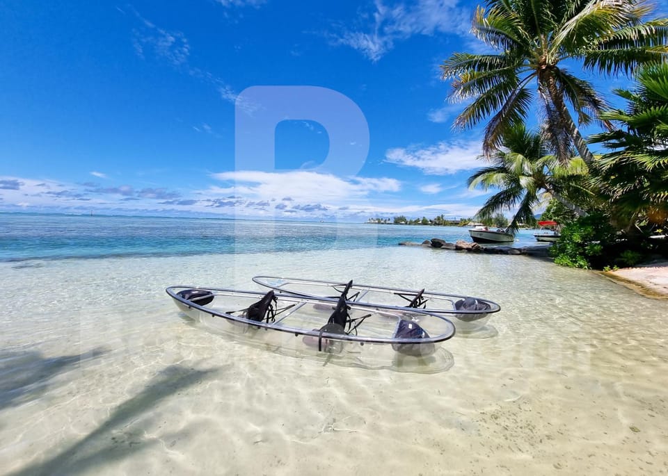 Only Moorea Villa in Moorea-Maiao