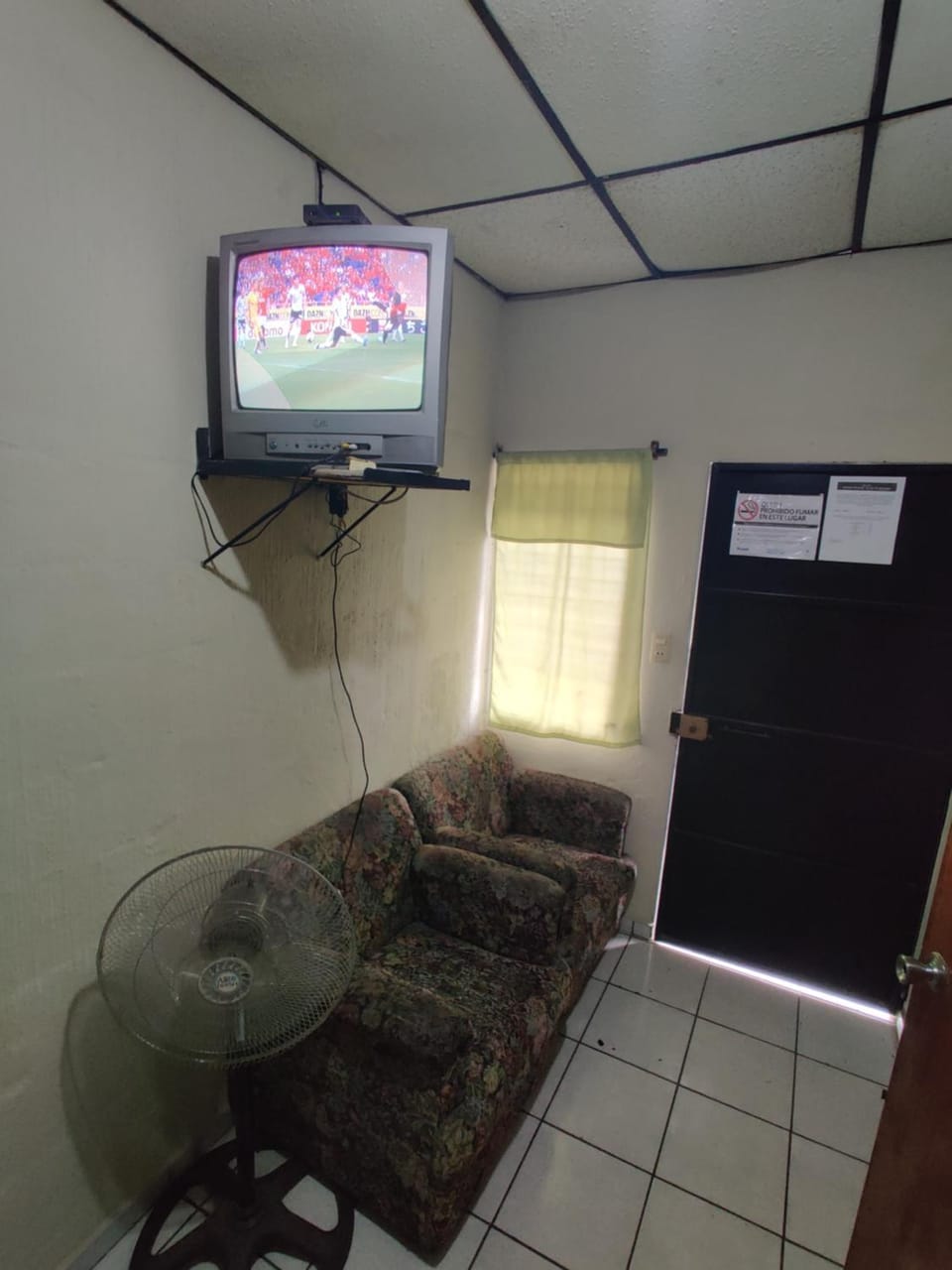 TV and multimedia, Evening entertainment
