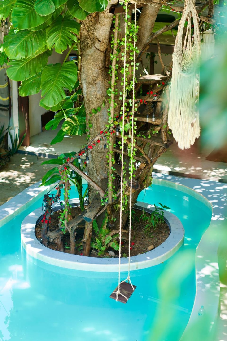 Spring, Day, Garden, Garden view, Pool view, Swimming pool, Swimming pool