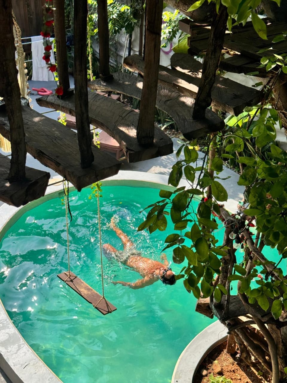 Day, Natural landscape, Garden, Garden view, Pool view, Swimming pool, Swimming pool