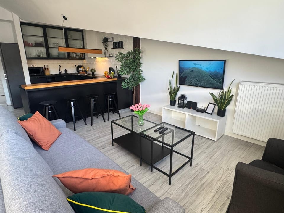 TV and multimedia, Kitchen or kitchenette, Living room, Seating area