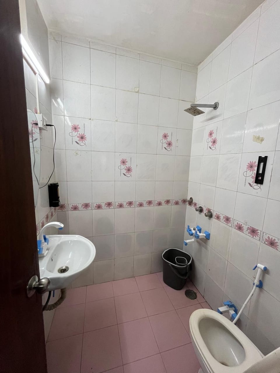 Jungle House 1 -71 BNB Bed and Breakfast in New Delhi