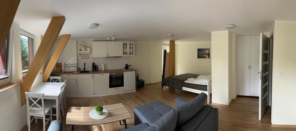 Kitchen or kitchenette, Living room, Seating area, Bedroom
