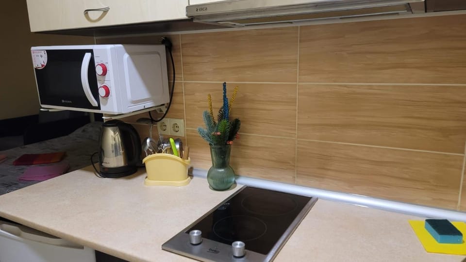 Apartment in the city centr Bursatsky descent Apartment in Kharkiv