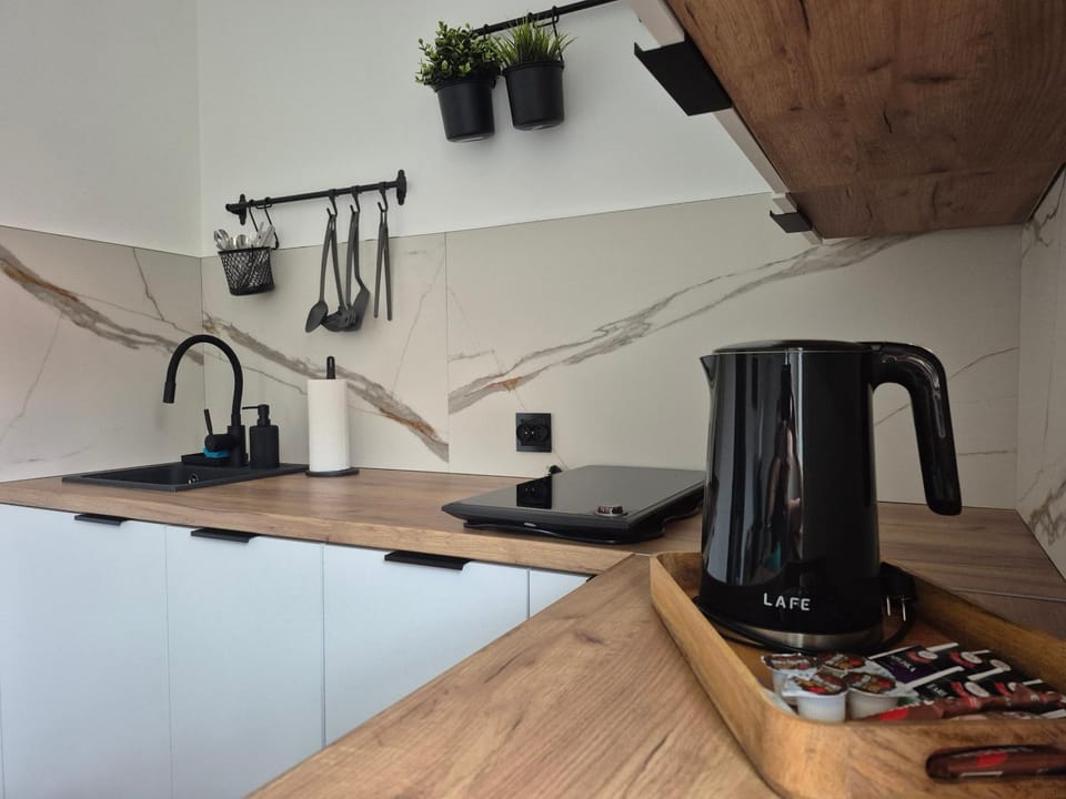 Apartament Zielona Jedlina Apartment in Lower Silesian Voivodeship