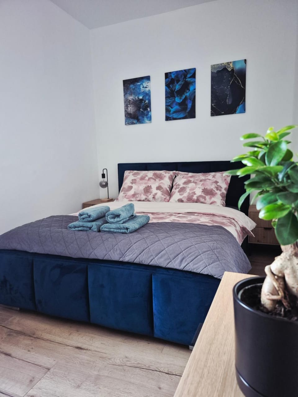 Apartament Zielona Jedlina Apartment in Lower Silesian Voivodeship